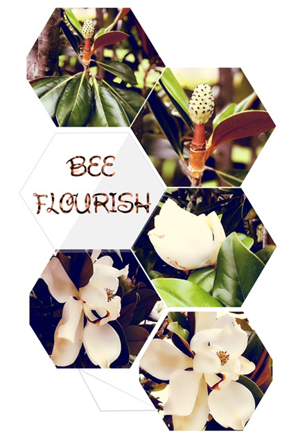 BEE FLOURISH (Our 2nd Women's Retreat)